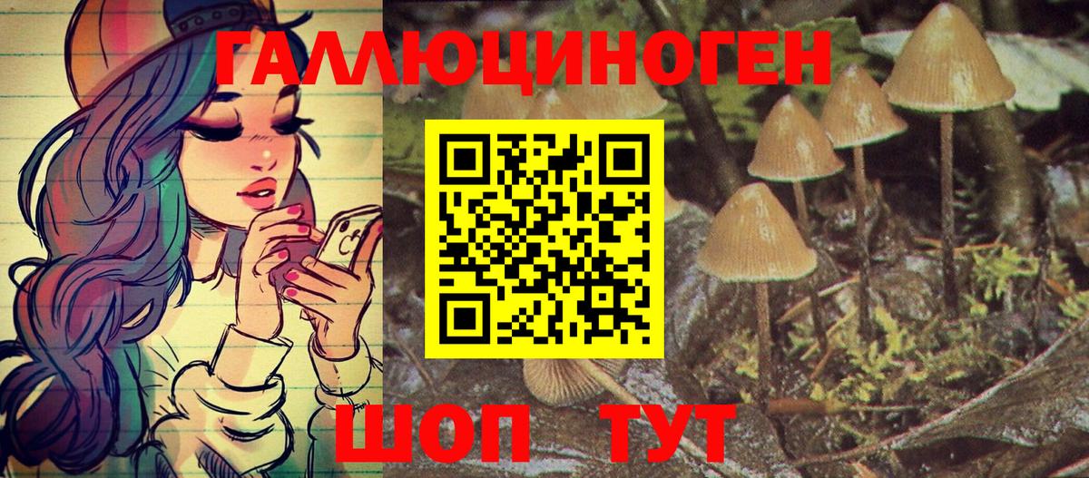 Галлюциногенные грибы Magic Shrooms  Вход с VPN  Новозыбков  Галлюциногенные грибы Cubensis 